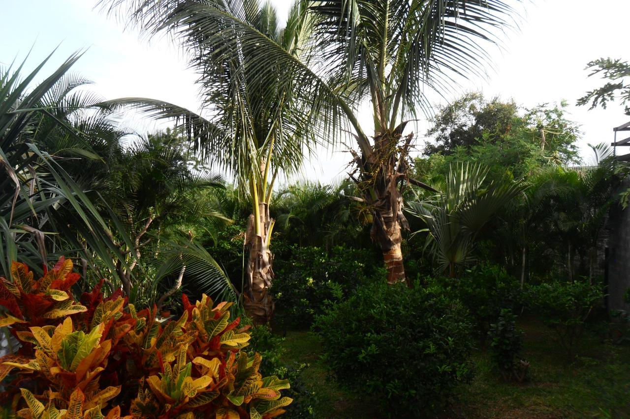 Chez Sonia Et Franck Bed & Breakfast L'Etang-Sale Ngoại thất bức ảnh